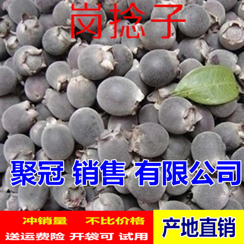 山菍子山稔果桃金娘果豆稔果岗念子岗稔仔菍干货野生泡酒新货包邮