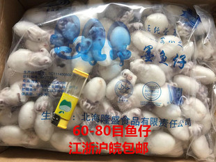 包邮 海产品新鲜冷冻60 江浙沪皖 箱 80墨鱼仔小乌贼小鱿鱼9斤