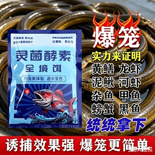爆笼灵菌酵素全境饵黄鳝专用鳝鱼泥鳅野钓黑坑鲫鲤草鳊钓鱼饵料