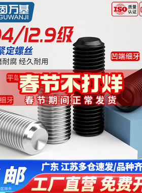 细牙紧定螺丝12.9级凹端机米螺钉内六角无头螺丝基米顶丝M4M5-M12