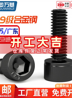 12.9级高强度螺栓圆柱头内六角螺丝杯头螺钉全牙M1M2M3M4M5M6-M24