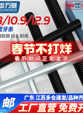 8.8/10.9/12.9级高强度丝杆全螺纹牙条通丝杆全牙螺杆M6M8M10-M48