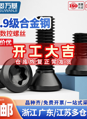 12.9级梅花螺丝数控刀杆螺丝铣刀刀片刀具螺丝m2m2.5m3m3.5m4m5m6