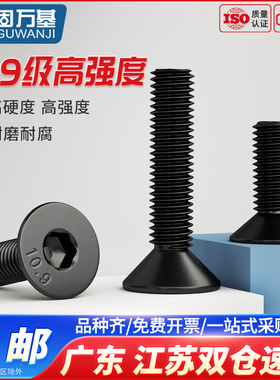 10.9级平头内六角螺丝钉平杯黑色内六角螺栓沉头螺钉M2/M2.5/M3