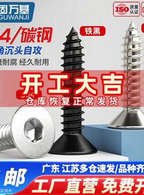 304不锈钢平头内六角自攻螺丝沉头内六角自攻丝木螺钉M2/M3M4M5M6