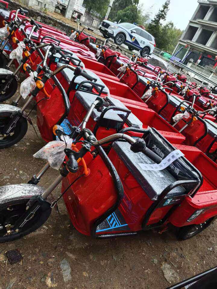 3月23日恩施30辆电动车打包出售网络拍卖公告