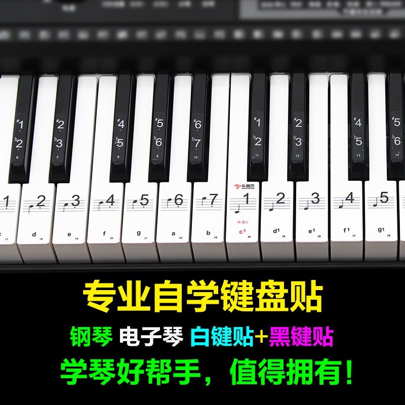 电子琴键盘音标贴61键初学者雅马哈五线谱键子贴纸钢琴琴键88包邮