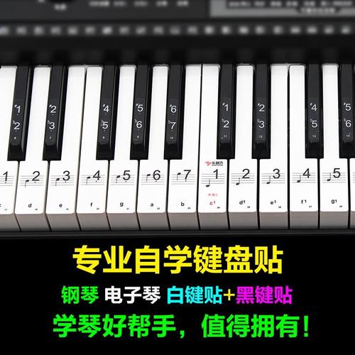 电子琴键盘音标贴61键初学者雅马哈五线谱键子贴纸钢琴琴键88包邮