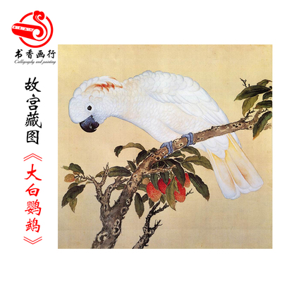 故宫鸟谱038牙色白鹦鹉仿古画