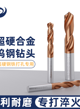 迪跃硬质合金钻头 打孔超硬钢铁不锈钢专用 高硬度全钨钢白钢转头