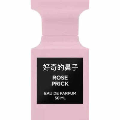 沉香乌木橙花油咖啡玫瑰璀璨午夜兰花灰色香根草白麝香苦桃刺玫瑰