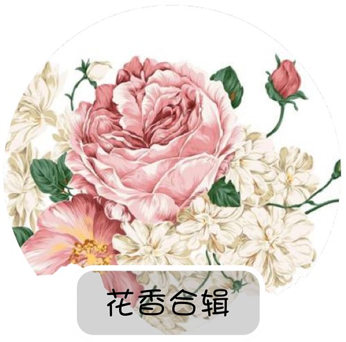 合辑陛下反转八月rose31夜桂花