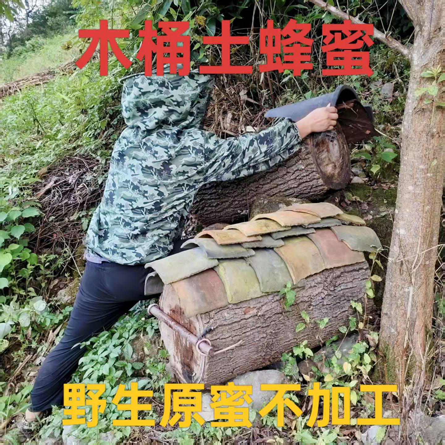 野生土蜂蜜农家自销贵州深山正宗木桶原蜜百花蜜纯正天然成熟蜂蜜