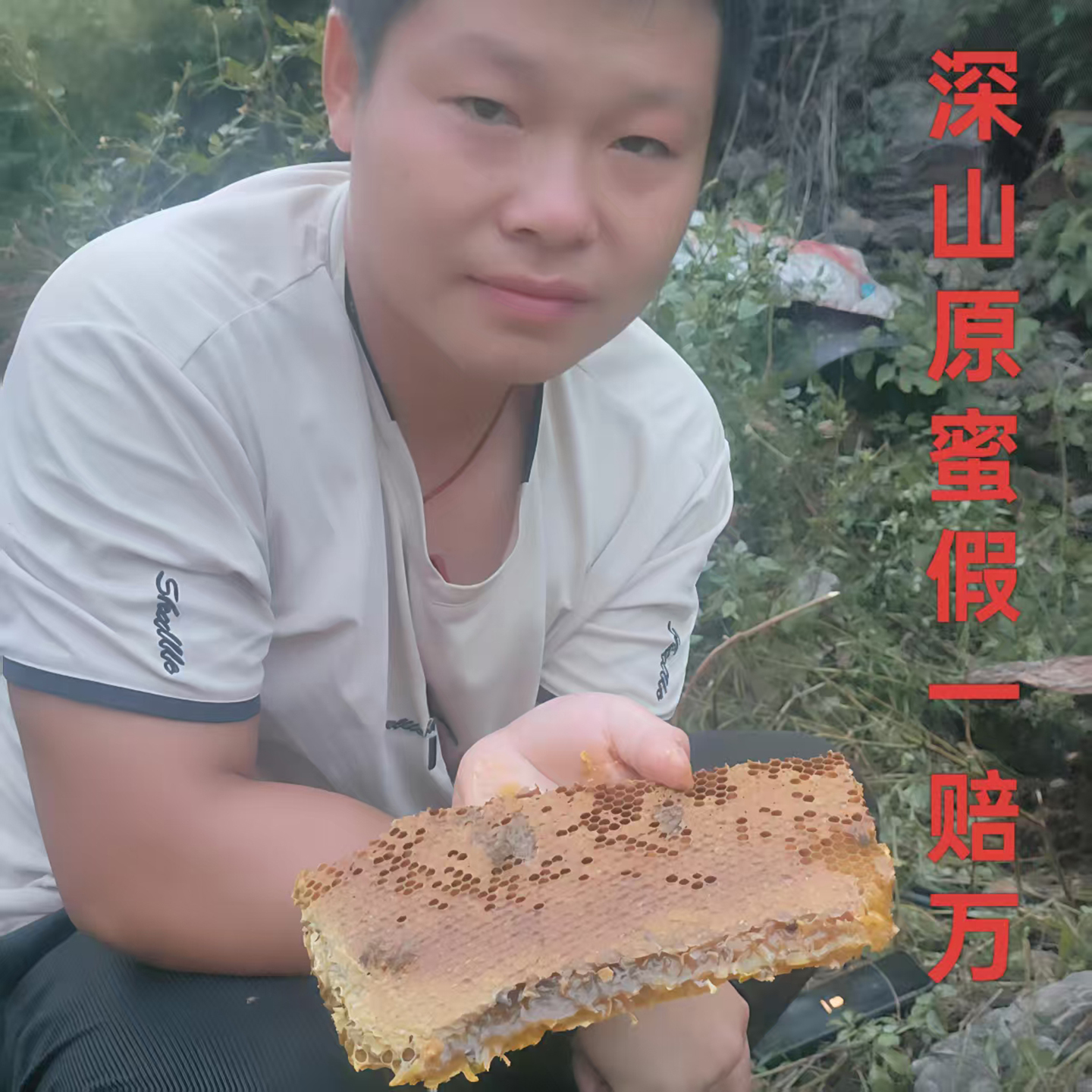 蜂蜜农家自产自然成熟野生纯正天然土蜂蜜贵州深山木桶结晶百花蜜