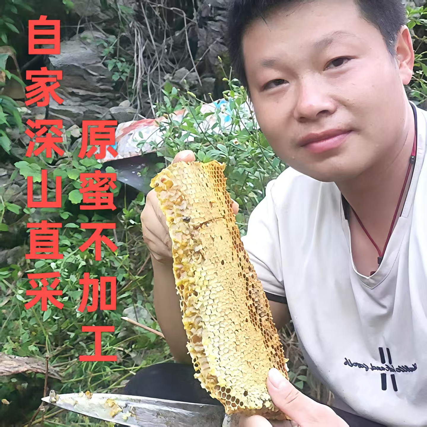 蜂蜜自然正宗野生纯正天然自家自产木桶瓶装百花蜜贵州土养土蜂蜜