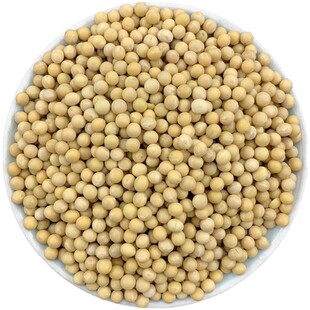 包邮 发豆芽雁鸣湖豆子5斤装 高蛋白豆打浆豆 东北农家自种黄豆