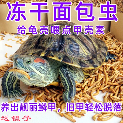 宠物零食面包虫乌龟粮冬眠补给