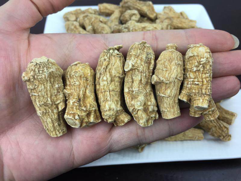 纯正加拿大进口西洋参10g克粒头段1斤花旗参条打粉切片整支参味浓