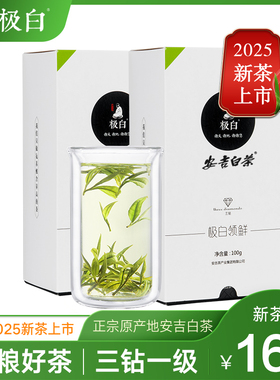 2025新茶绿茶上市极白安吉白茶珍稀雨前茶叶200g礼盒装官方旗舰店
