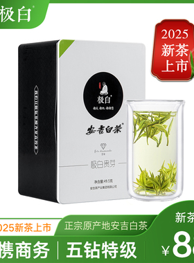 2025新茶绿茶上市 极白安吉白茶特级49.5g原产地春茶明前送礼茶叶