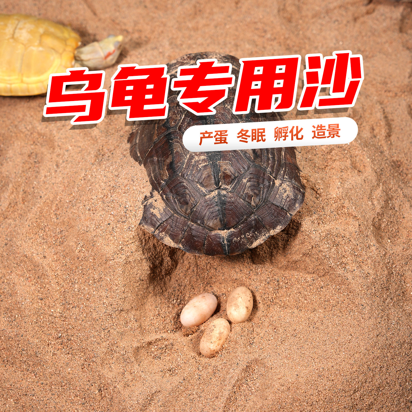 乌龟产蛋沙冬眠专用细沙水龟黄泥营养沙宠物龟生蛋免洗沙种龟底沙