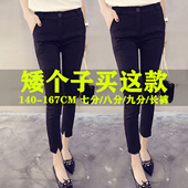 子女 加绒高腰小脚打底裤 显瘦七分八分九分黑色弹力薄款 春夏秋冬季