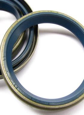 德国CFW骨架油封 B1FUD  50*65*8  57*72*9 进口骨架油封