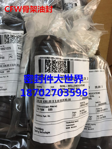 德国氟胶骨架油封