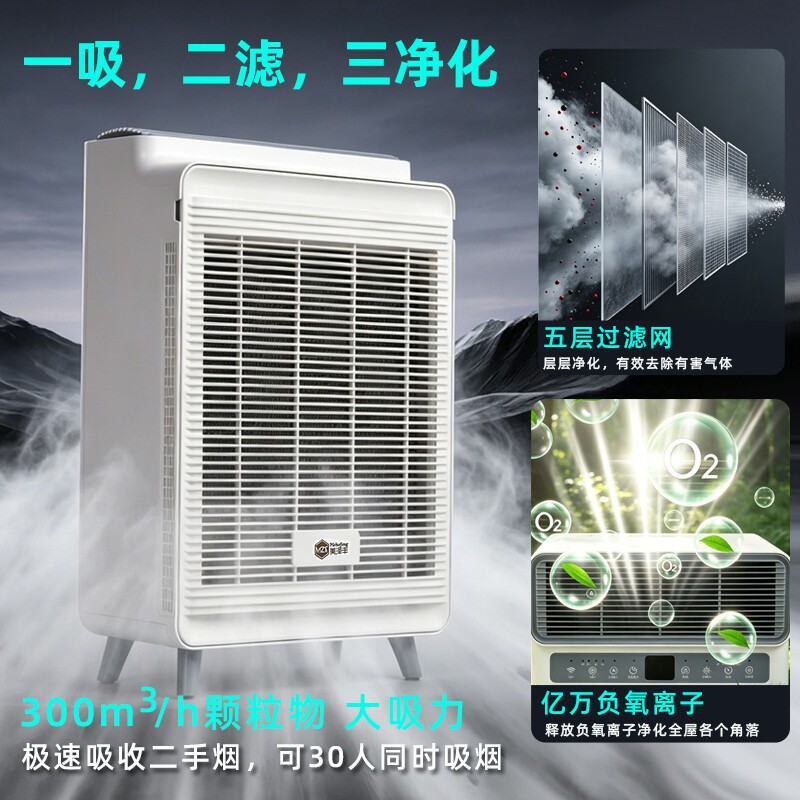 美泽丰二手除甲醛烟味空气净化器