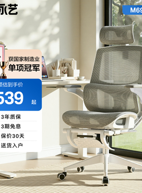 ue永艺M69Pro人体工学椅家用电脑椅办公椅久坐撑腰学习椅