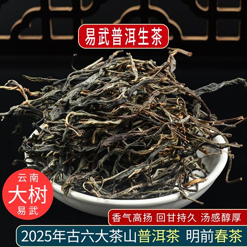 易武普洱生茶普洱茶明前春茶