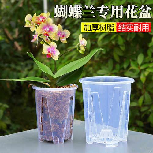 透明蝴蝶兰专用花盆兰花塑料树脂