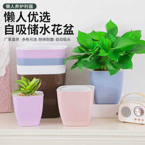 懒人自动吸水盆绿萝高级感树脂盆
