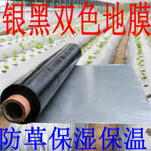 银黑地膜双色反光除草地膜农用黑白地膜保温保湿薄膜果园蔬菜大棚