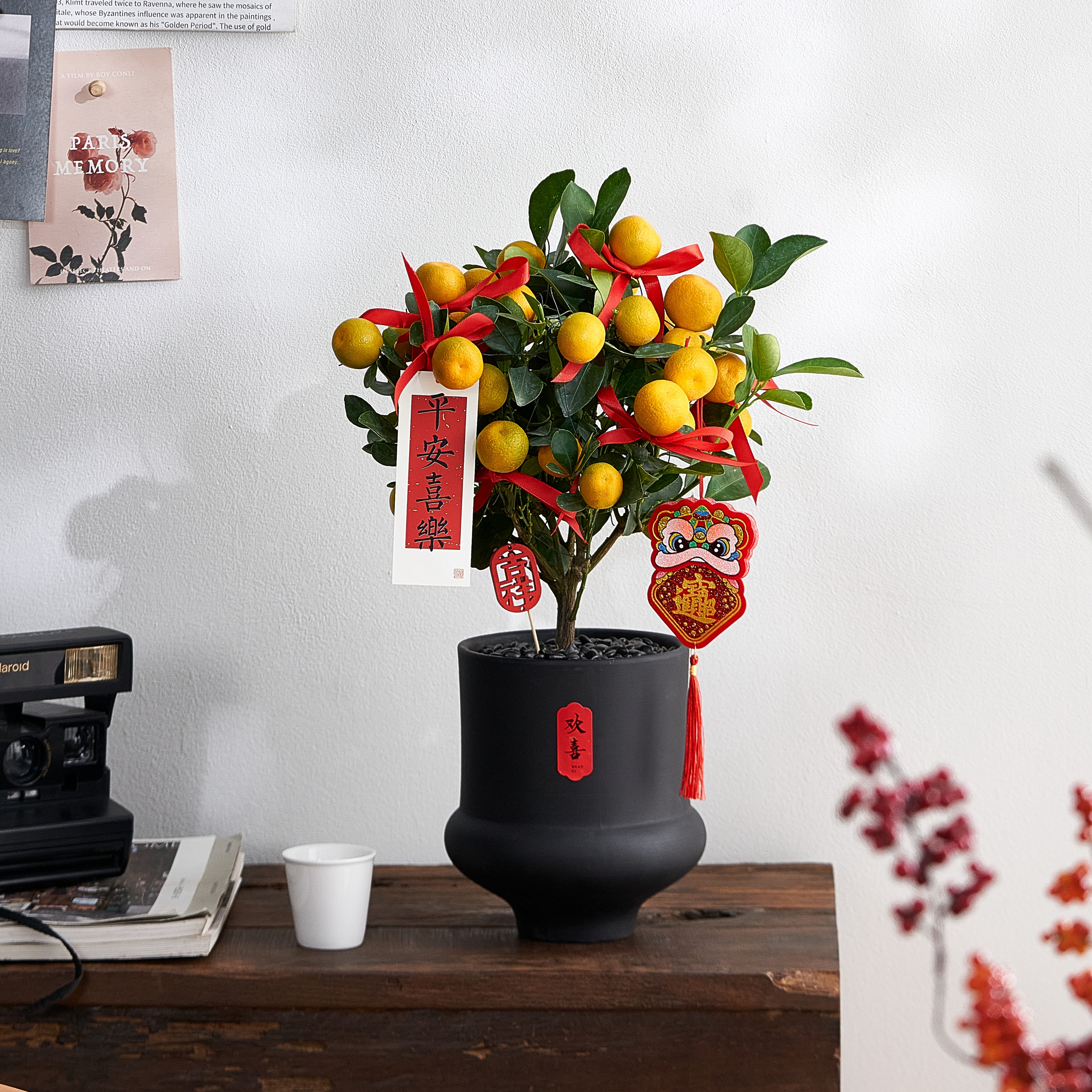 【带果发货】四季金桔树苗年宵花盆栽可食用客厅室内桌面植物橘子,鲜花速递/花卉仿真/绿植园艺,绿植,淘宝优惠券,粉丝福利购,淘宝优惠卷