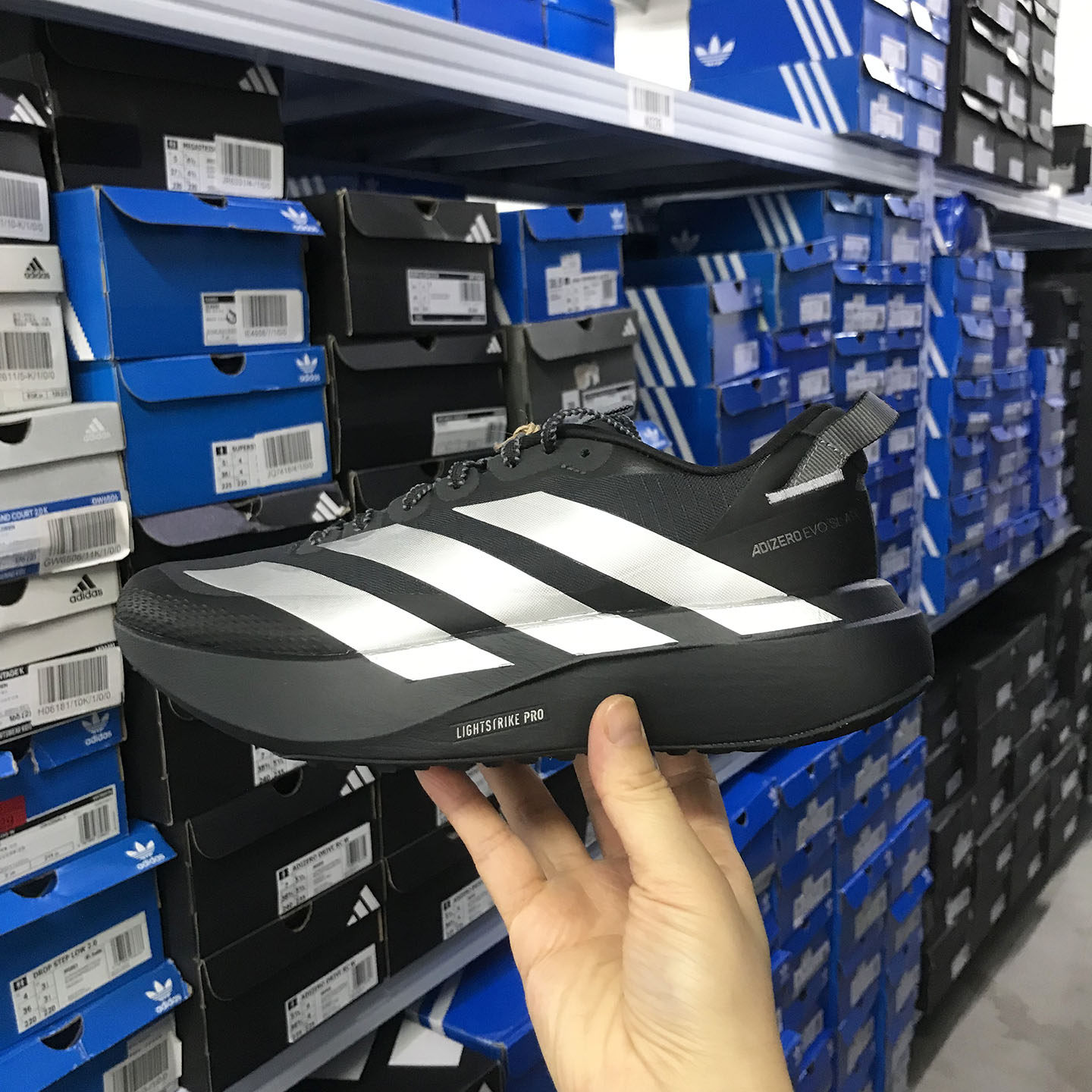 Adidas ADIZERO EVO SL ATR 男女超轻马拉松跑步鞋 KK2683 2721图片