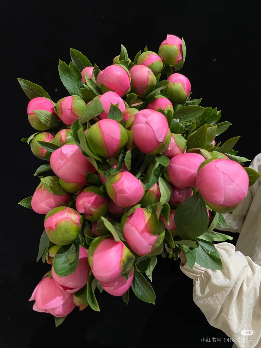 上海鲜花，进口芍药软鲑鱼三文鱼1支18/5    支起发货