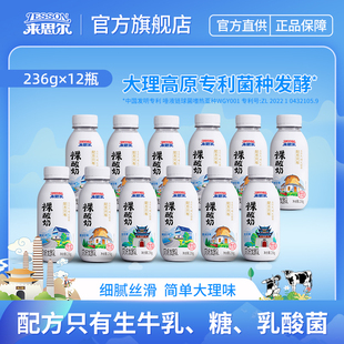 来思尔大理裸酸奶236g 整箱风味酸奶生牛乳发酵 12瓶装