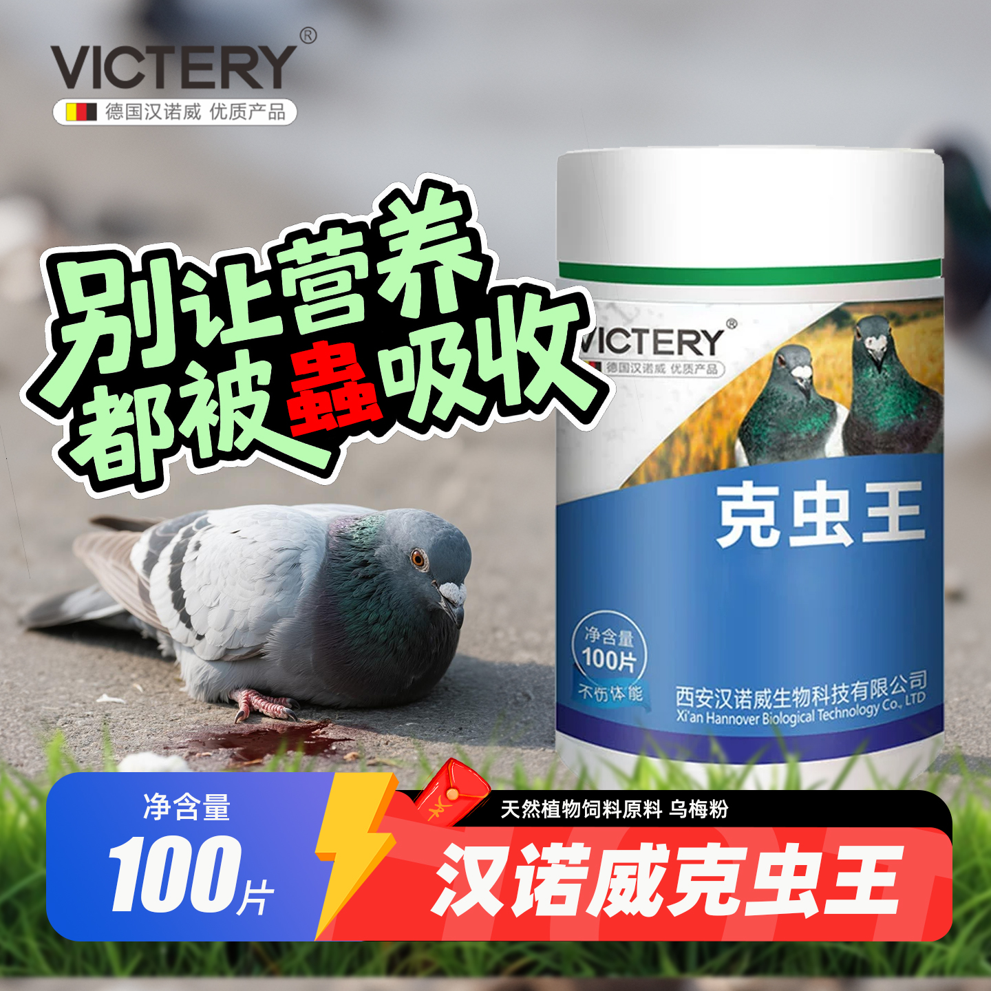 汉诺威信鸽克虫王100片