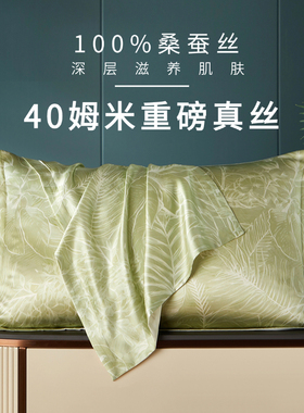 40姆米6A级真丝印花枕头套100%桑蚕丝48X74cm单只一对礼盒装