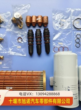 NT855/3053126 3054217 3054218 3054220 喷油嘴喷油咀喷油器总成