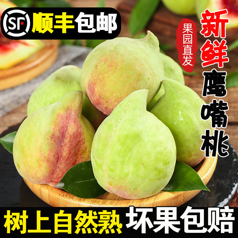 正宗新鲜鹰嘴桃脆甜顺丰5斤当应季孕妇时令水果水蜜桃整箱毛桃子