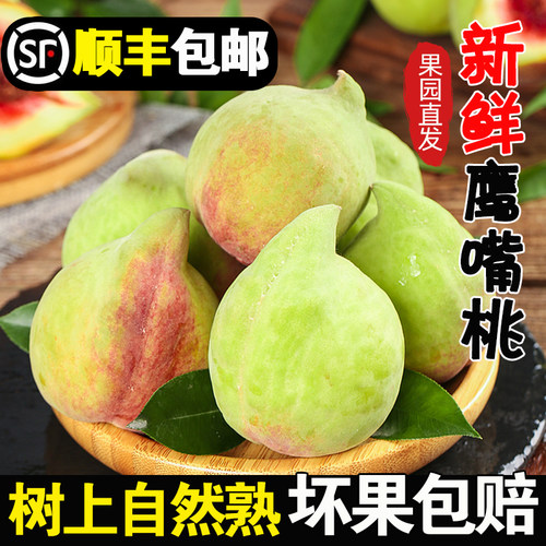 正宗新鲜鹰嘴桃脆甜5斤顺丰