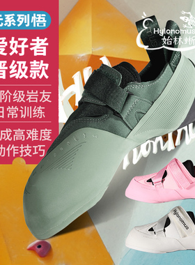 始林蜥Hylonomus-悟专业初级进阶攀岩鞋抱石男攀室内儿童岩女户外