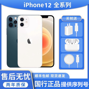 Apple/苹果 iPhone 12 苹果12 Pro Max 国行双卡全网通手机