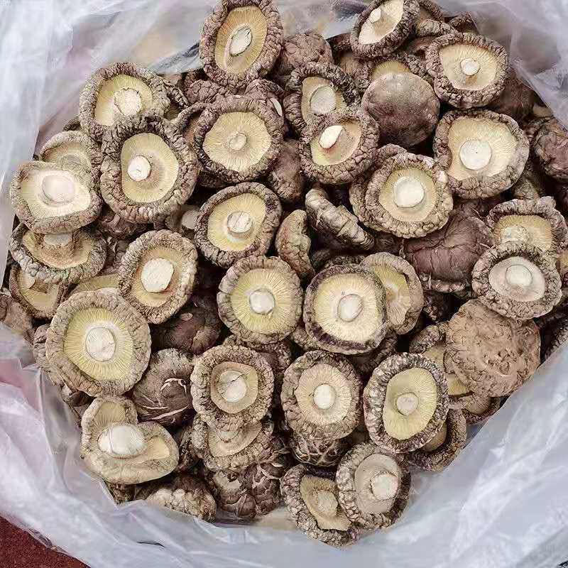 西峡厚肉干香菇剪脚无根蘑菇5斤散装批发商用
