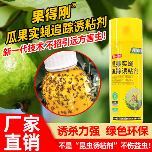 果得刚瓜果实蝇诱粘剂灭果蝇实蝇神器针蜂克星引诱剂柑橘苦瓜丝瓜