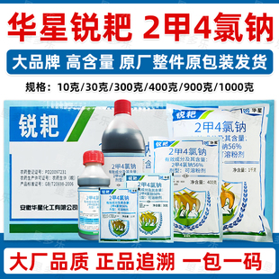 锐耙二甲四氯钠2甲4氯钠除草剂水稻小麦园林草坪阔叶杂草专用农药