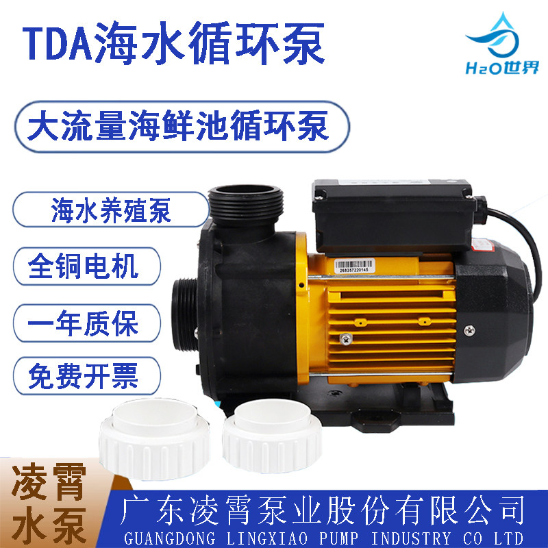 耐腐蚀耐酸碱海水泵大流量循环泵