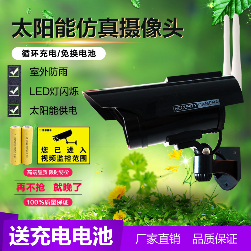 黑色双天线带红外闪灯仿真摄像头